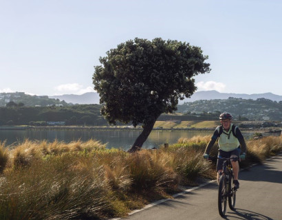 Cobham bike path