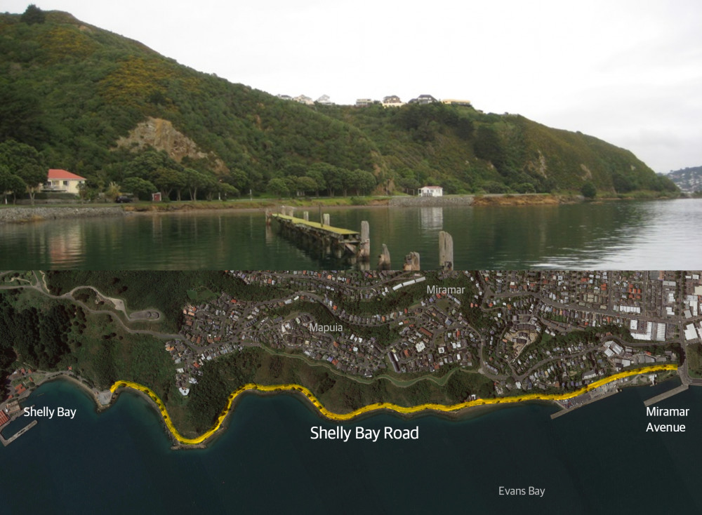 Image of Shelly Bay with the road from Miramar Ave to where the future housing development will begin.