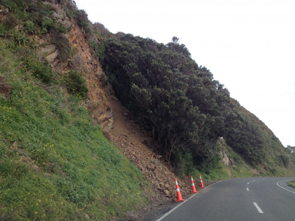 Photo of a hillside slip at Shelly Bay in July 2015